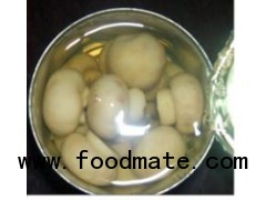 Canned Whole Button Mushroom