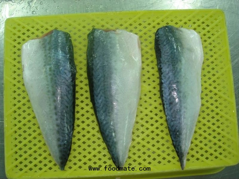 delicious food frozen mackerel fillet