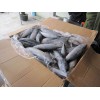 new coming WR frozen bonito 100-200g