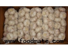 Shandong frozen garlic