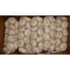 Shandong frozen garlic