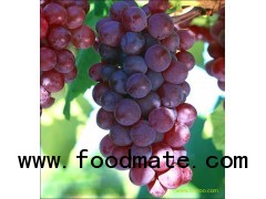 Chinese red grape