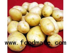 china fresh potato, 2012 new crop good quality