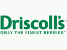 driscoll's