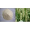 Hydrolyzed Wheat Gluten