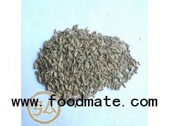 Spice Cumin seeds (xinjiang)