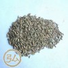 Spice Cumin seeds (xinjiang)