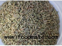 Fennel seeds