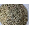 Fennel seeds