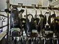 Milk-Cow Drought Culling Accelerates as Prices Jump
