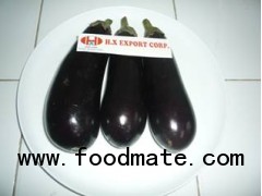 Eggplant