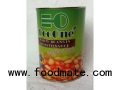 Canned White Kidney Bean with Tomato Sauce