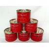 canned food- tomato paste