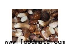 IQF Boletus Edulis