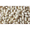 2012 crop blanched peanut kernel 25/29