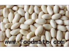 Chinese Blanched Peanut Kernels29/33