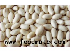 blanched peanut kernel 35/39