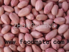 peanut kernel in long type 24/28