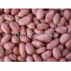peanut kernel in long type 24/28