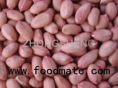 peanut kenrel in round type 25/35