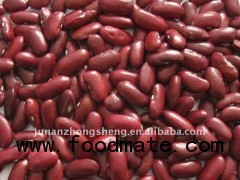 dark red kidney bean