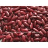 dark red kidney bean