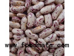 light speckled kidney bean