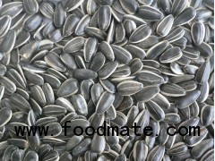 sunflower seed 22/64