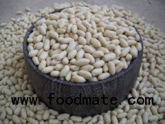 blanched peanut kernel 36/41
