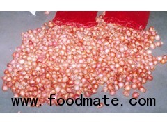 Onions from India