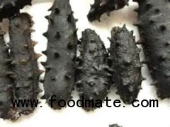 dried prickly sea cucumber