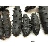 dried prickly sea cucumber