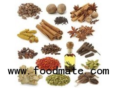 Buy Spices in Food and Beverages