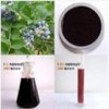 Bilberry extract