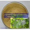 Kava Extract