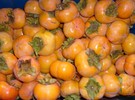 persimmons