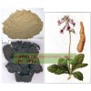 Prepared rehmannia root extract