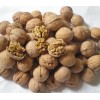 Walnut Kernel Extract