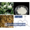 Synephrine 98%, natural extract