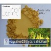 Genistein 98%, natural extract
