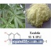 Esculin 98%, natural extract