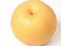 Namsun GTL maintains export of Shingo pears