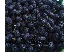2012 new crop frozen mulberry