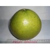 green skin pomelo