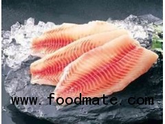 Frozen Tilapia fillet