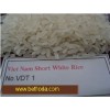 Vietnam short white rice