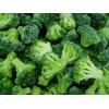 IQF Broccoli