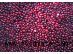 Frozen lingonberry