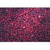 Frozen lingonberry