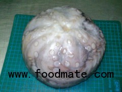 Octopus Whole